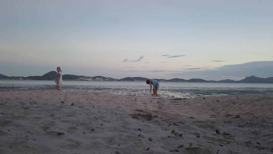 Praia da baía