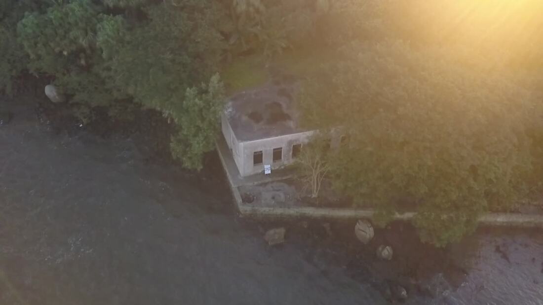 Ruínas e mata na ilha